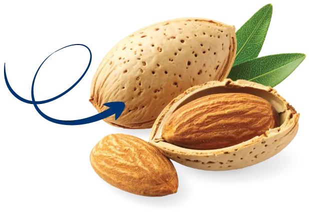 Nuts about almonds... and nuts about our fresh new look!