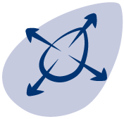 Scale with Quinto Nut