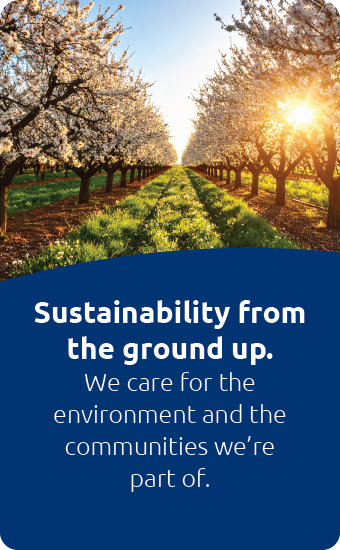 Sustainability from the ground up Sustainability from the ground up