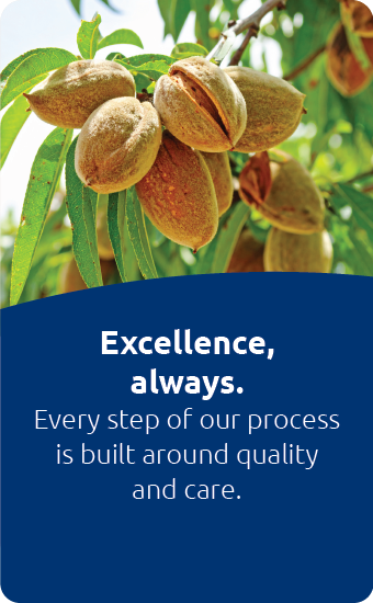 Excellence, always Excellence, always