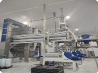 Flora oil mill Flora oil mill